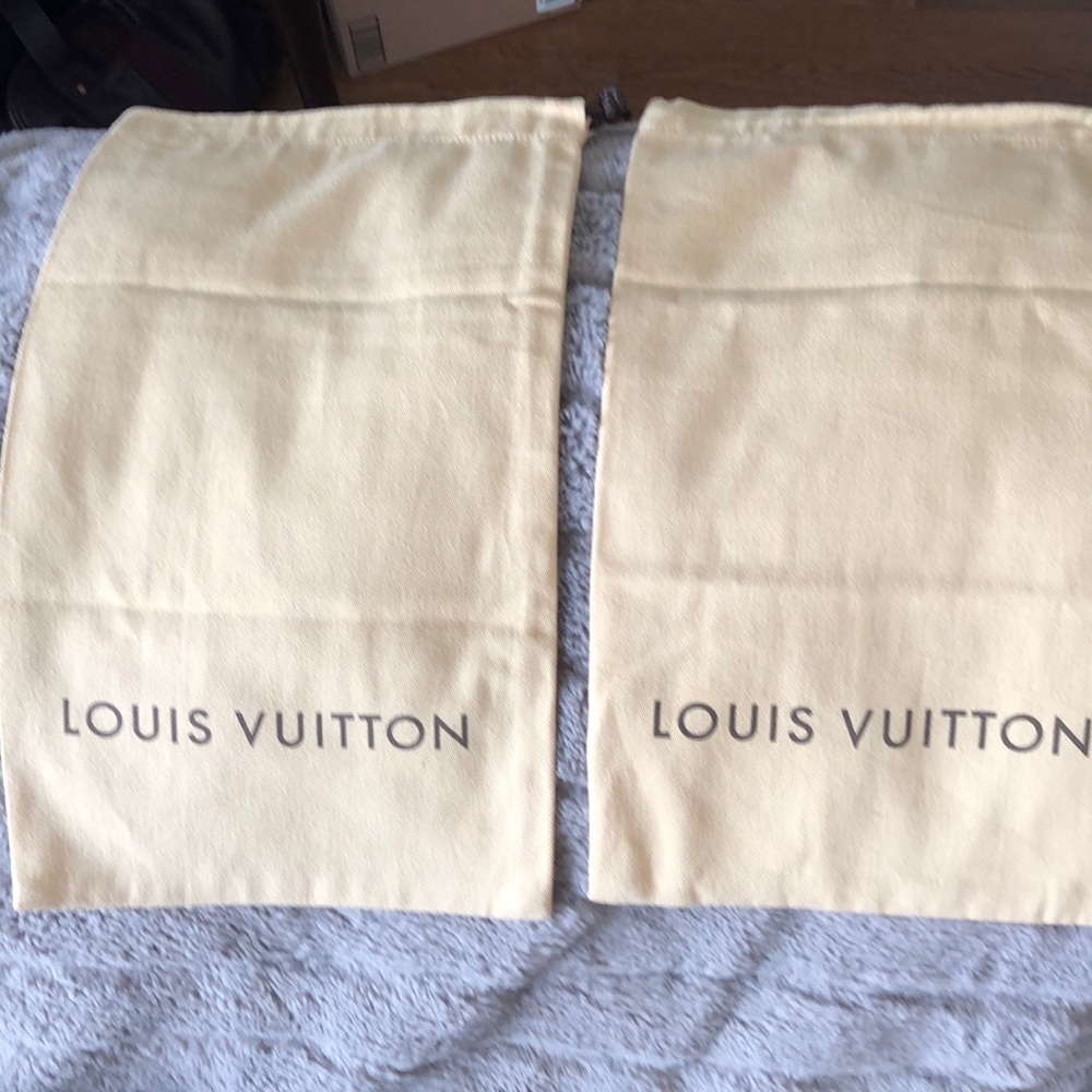 COPY - Louis Vuitton shoes storage bags (2) or small purse bags